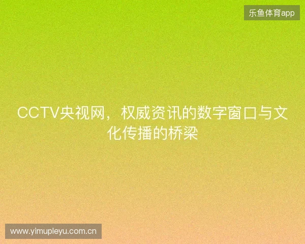 CCTV央视网，权威资讯的数字窗口与文化传播的桥梁