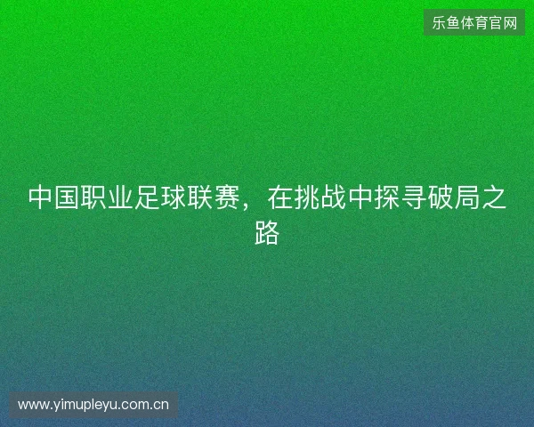 中国职业足球联赛，在挑战中探寻破局之路