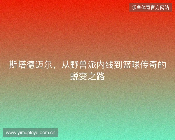 斯塔德迈尔，从野兽派内线到篮球传奇的蜕变之路